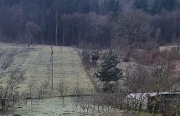 Teren intravilan, 2610 mp, certificat de urbanism, strada principala, Gilau