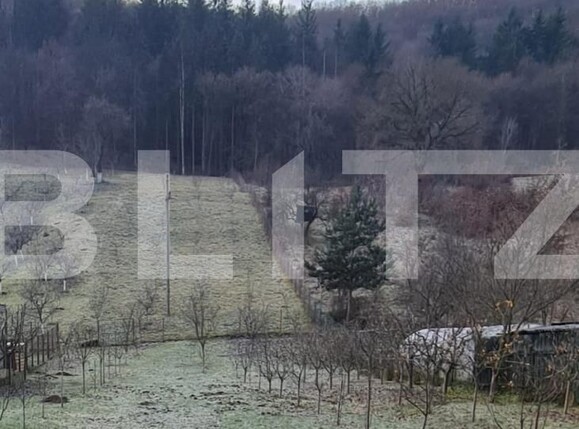 Teren de vânzare Gilău - 104801TV | BLITZ Cluj-Napoca | Poza1