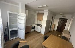 Apartament 1 camera, decomandat 46 mp, zona Big 