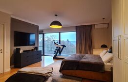 Unitate de triplex lux in centrul orasului.