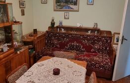 Apartament de 2 camere, 50 mp, zona Iulius Mall