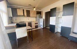 Garsoniera, decomandat, Zona strazii Satrun