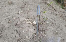 Teren 1000 mp, construibil imediat, in Liu, Grigorescu, zona strazii Uliului