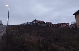 Teren 7547 mp intravilan, la intrare in Chinteni, pentru constructia unui ansamblu de case!