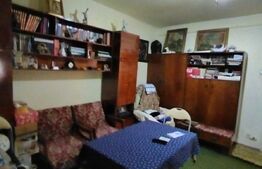 Garsoniera spatioasa, 32 mp, zona Dambovitei