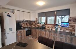 Duplex cu 5 camere, garaj, 143 mp utili, 300 mp de teren, zona Somesului