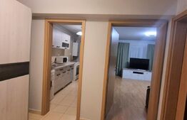 Apartament 1 camera, 40 mp, decomandat, parcare, pet friendly, zona Calea Turzii