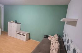 Apartament 1 camera, 40 mp, decomandat, parcare, pet friendly, zona Calea Turzii