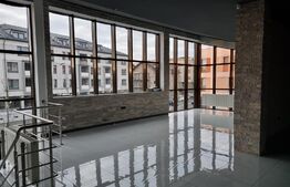 Spatiu comercial,vitrina,parcari,748 mp, Buna Ziua