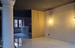 Spatiu comercial,vitrina,parcari,748 mp, Buna Ziua