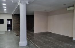 Spatiu comercial,vitrina,parcari,748 mp, Buna Ziua