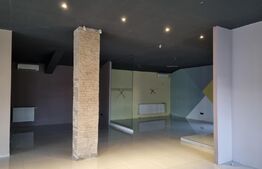Spatiu comercial,vitrina,parcari,748 mp, Buna Ziua