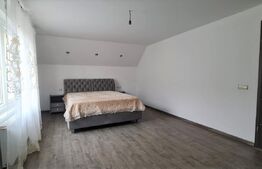 Casa individuala 277 mp, 3 dormitoare, teren 2500 mp, Campia Turzii