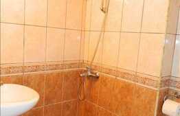 Apartament 1 camera, Central, cu o curte 33 mp si spatiu depozitare subsol