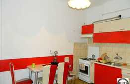 Apartament 1 camera, Central, cu o curte 33 mp si spatiu depozitare subsol