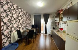 Apartament cu o camera, 40 mp, pet friendly, zona Calea Turzii