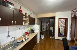 Apartament cu o camera, 40 mp, pet friendly, zona Calea Turzii