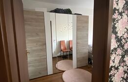 Apartament cu o camera, 40 mp, pet friendly, zona Calea Turzii