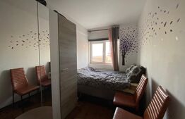 Apartament cu o camera, 40 mp, pet friendly, zona Calea Turzii