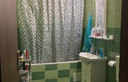 Apartament cu o camera, 40 mp, pet friendly, zona Calea Turzii