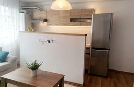 Apartament 2 camere, 50mp, zona Catanelor!