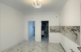 Casa individuala, partial mobilata, 180 mp, curte, zona strazii Traian Vuia