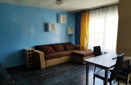 Apartament de 2 camere, parcare, zona Stejarului!
