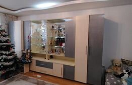 Apartament spatios , 2 camere , suprafata 56 + terasa 14 mp , zona Porii