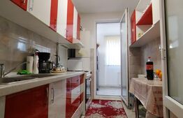 Apartament spatios , 2 camere , suprafata 56 + terasa 14 mp , zona Porii