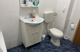 Apartament 1 camera , 30 mp , zona Porii