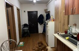 Apartament 1 camera , 30 mp , zona Porii