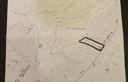 Comision 0% -Teren intravilan Comuna Iara sat Masca- 11350mp