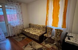 Apartament 2 camere, decomandat, 46 mp, mobilat utilat, zona Teilor