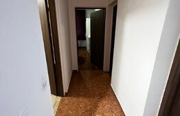 Apartament 2 camere, decomandat, 46 mp, mobilat utilat, zona Teilor