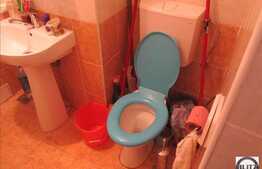 Apartament 1 camera, 48 mp utili, imobil nou, zona hotelului Golden Tulip