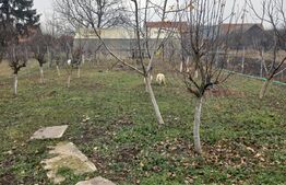 Casă Săseasca, 4 camere, teren de 1423 mp, Prejmer