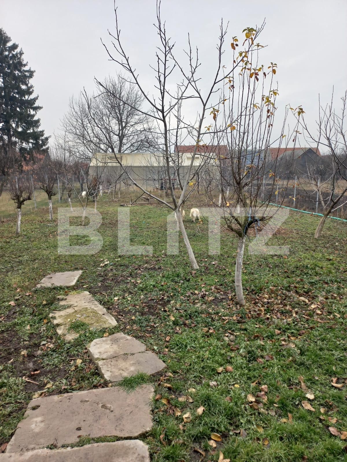 Casa de vânzare 4 camere Sud-Est - 105684CV | BLITZ Brașov | Poza10