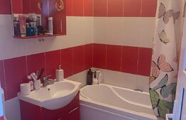 Casa individuala formata din 3 apartamente, P + M , 130 mp, teren 400 , zona Lidl 