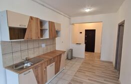 Apartament cu 1 camera, decomandat, 37 mp, orientare sudica, zona Terra
