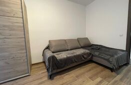 Apartament 2 camere, pet friendly, parcare, zona Mihai Viteazu