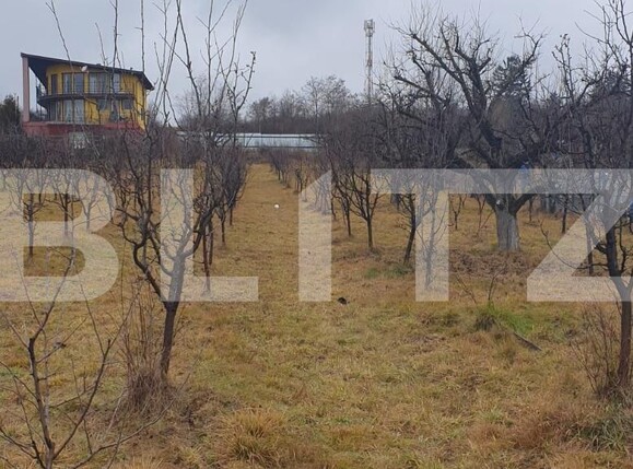 Teren de vânzare Vulcan - 105800TV | BLITZ Brașov | Poza1