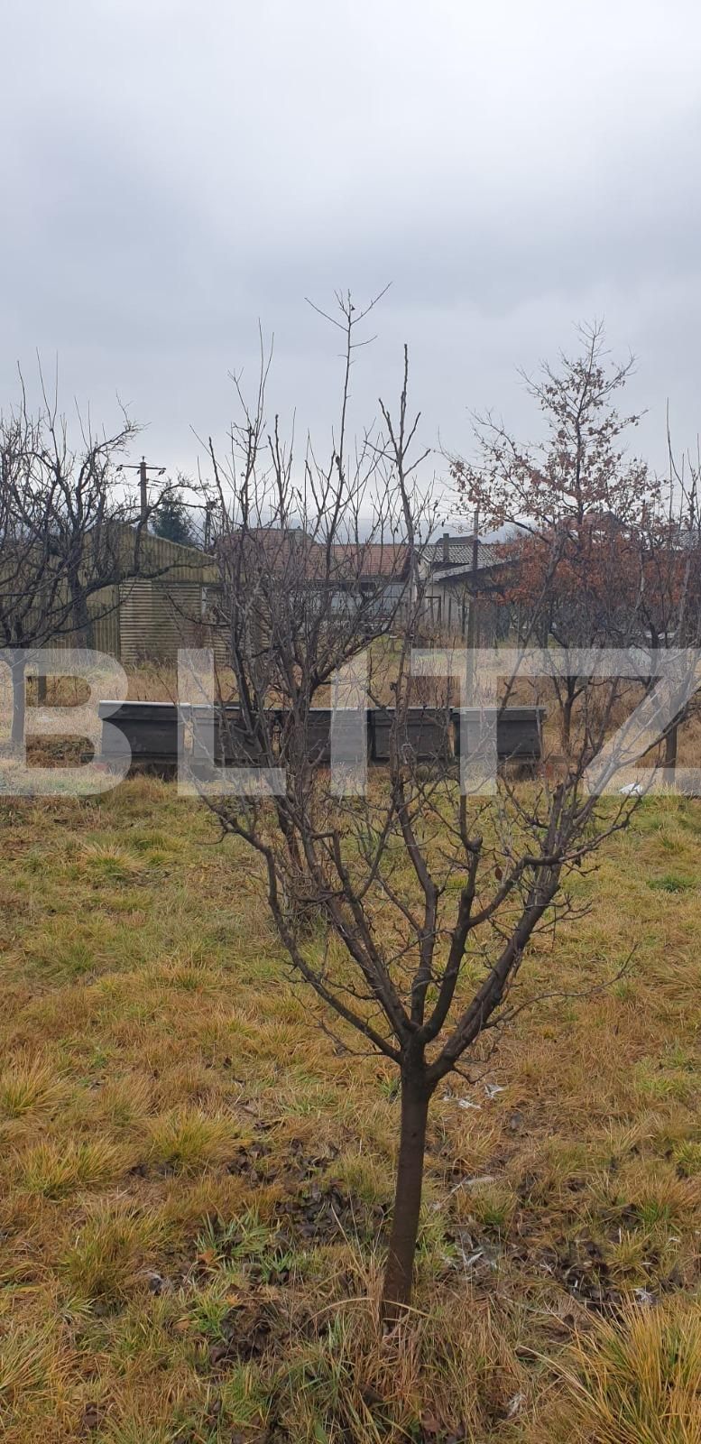 Teren de vânzare Vulcan - 105800TV | BLITZ Brașov | Poza5