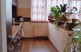 Apartament 2 camere , 56 mp , zona Stadionului , parcare