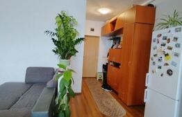 Apartament 2 camere , 56 mp , zona Stadionului , parcare