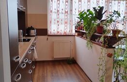 Apartament 2 camere , 56 mp , zona Stadionului , parcare