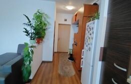Apartament 2 camere , 56 mp , zona Stadionului , parcare