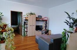 Apartament 2 camere , 56 mp , zona Stadionului , parcare