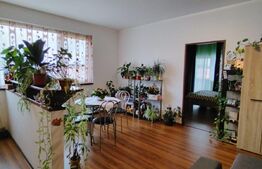 Apartament 2 camere , 56 mp , zona Stadionului , parcare
