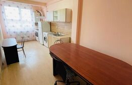 Apartament 1 camera, 43mp, decomandat, etaj intermediar, zona Teilor  