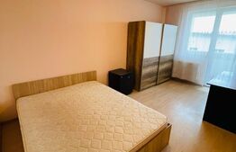 Apartament 1 camera, 43mp, decomandat, etaj intermediar, zona Teilor  